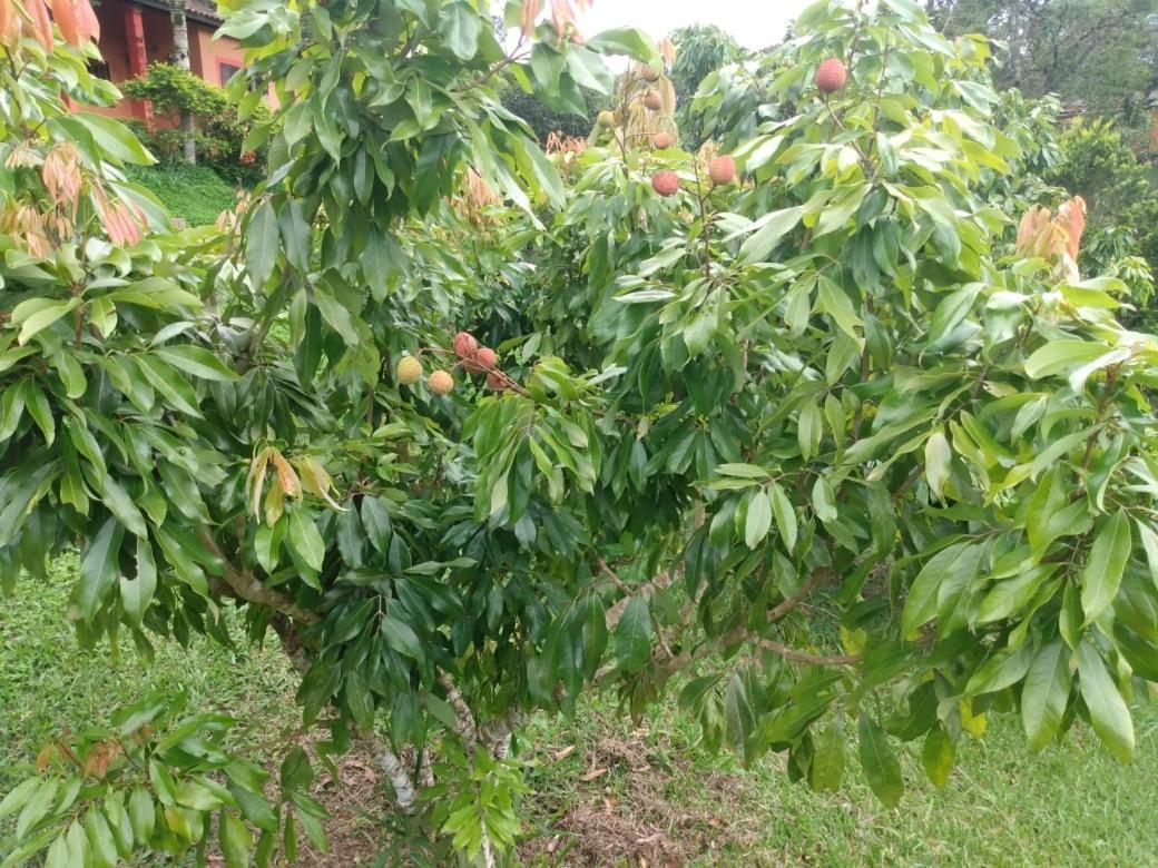 Pousada Recanto Aguas Vivas Turvo dos Gois 外观 照片
