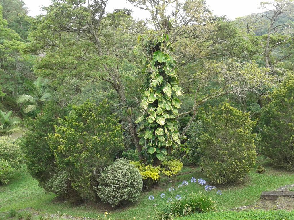 Pousada Recanto Aguas Vivas Turvo dos Gois 外观 照片